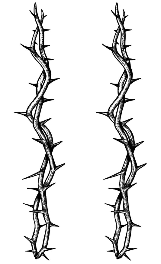 Thorny Vines