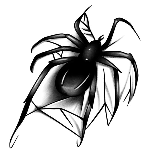 Black Spider (8 Pack)