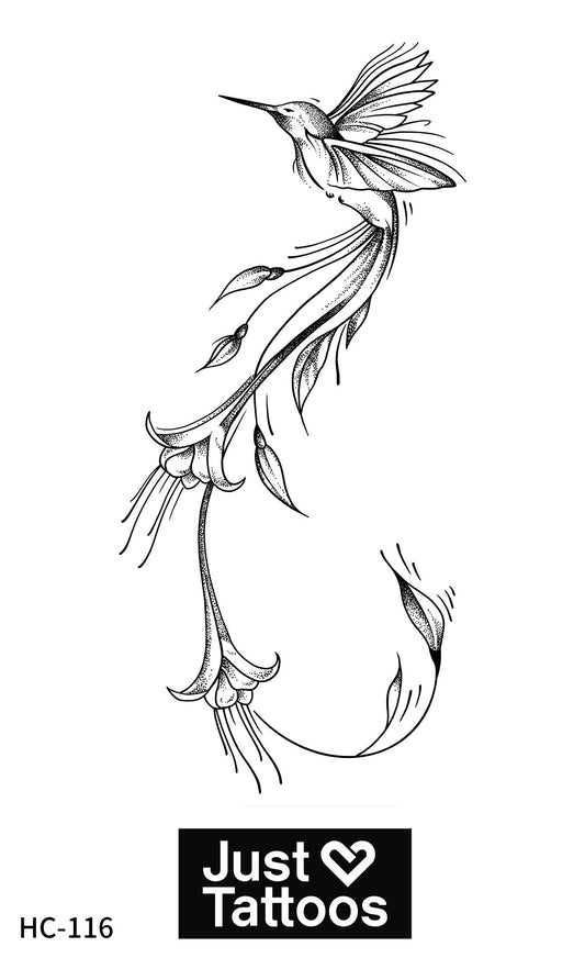 Detailed Botanical Hummingbird